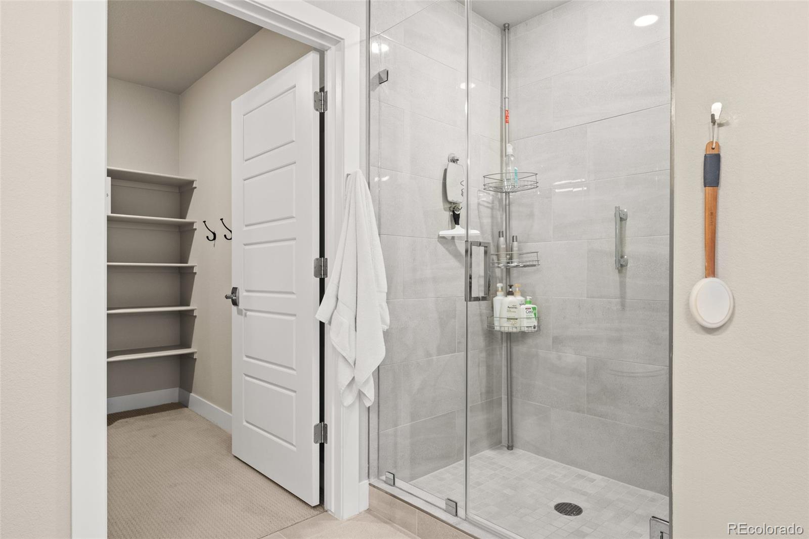 MLS Image #8 for 20  wilcox ,castle rock, Colorado