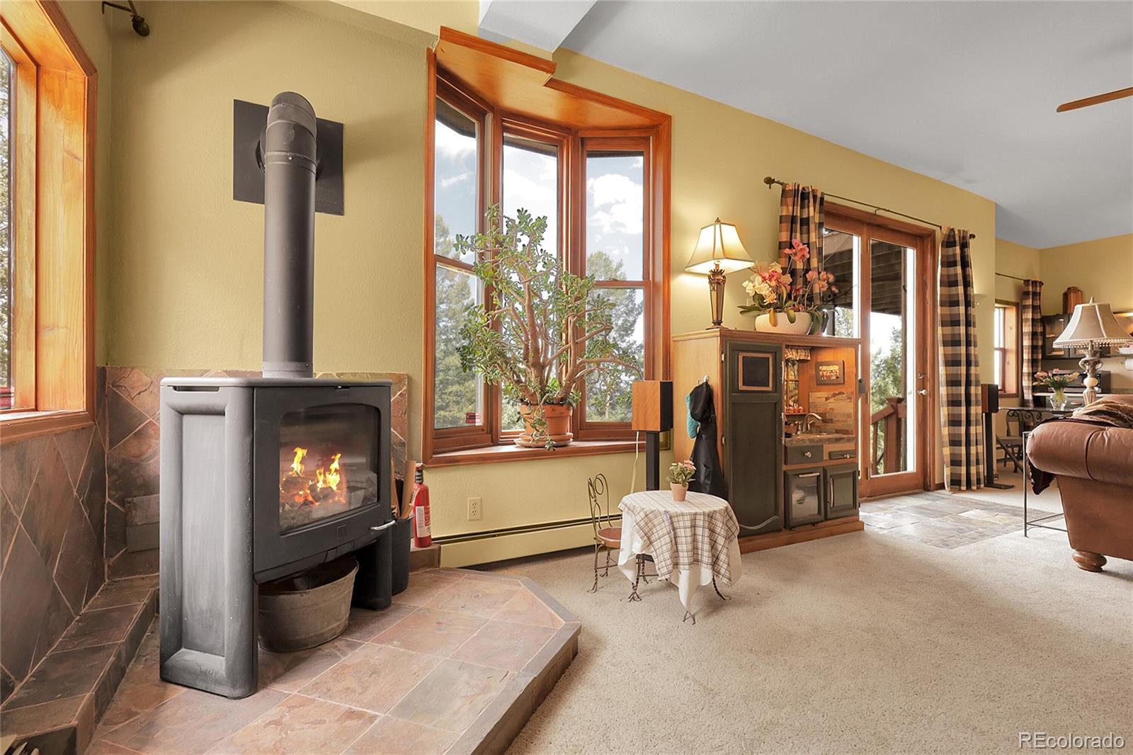 MLS Image #27 for 33121  lynx lane,evergreen, Colorado