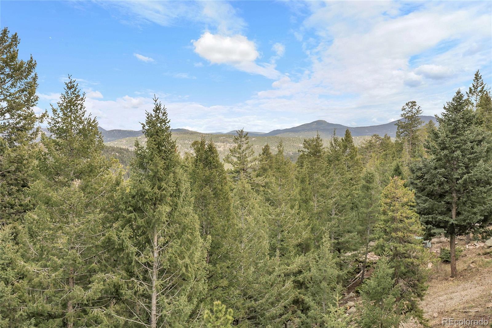 MLS Image #33 for 33121  lynx lane,evergreen, Colorado