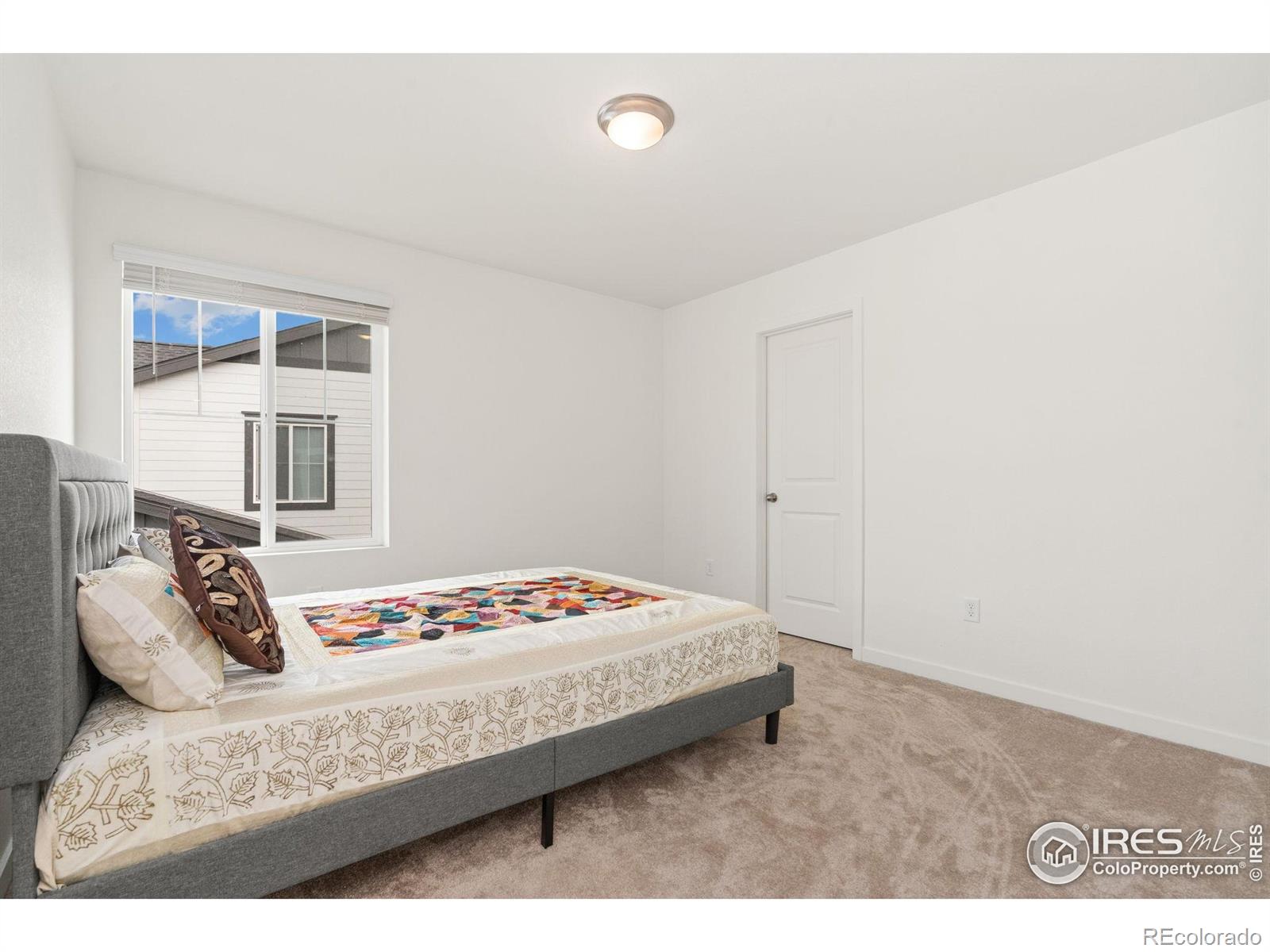 MLS Image #24 for 4280  apple cider street,timnath, Colorado