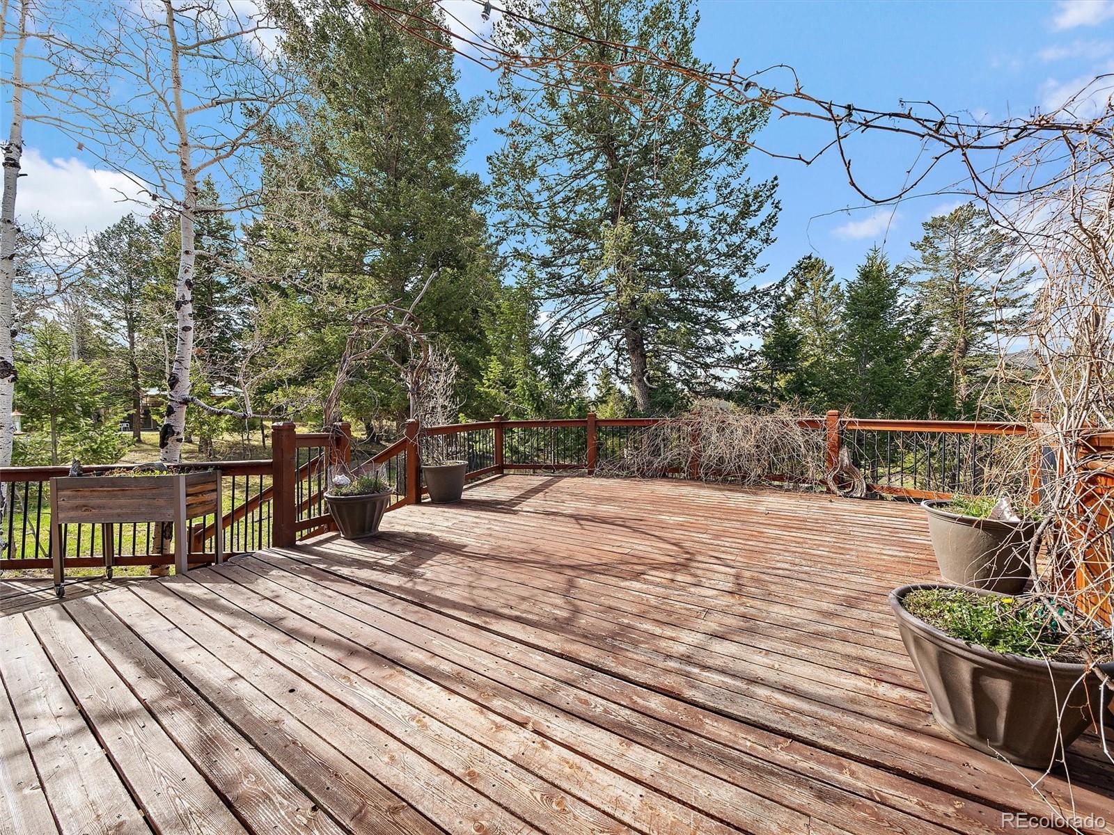 MLS Image #14 for 7754  swaps trail,evergreen, Colorado