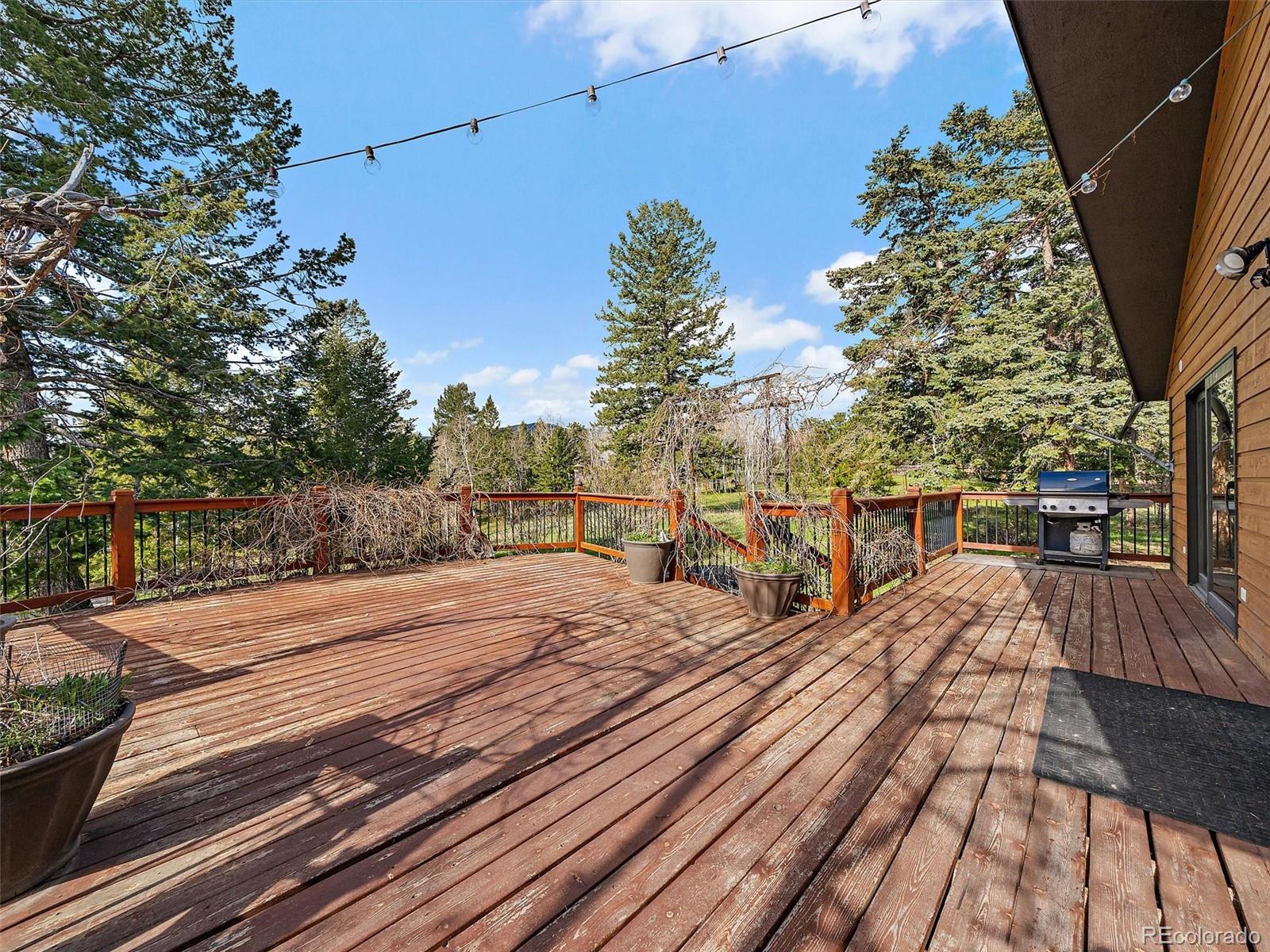 MLS Image #15 for 7754  swaps trail,evergreen, Colorado