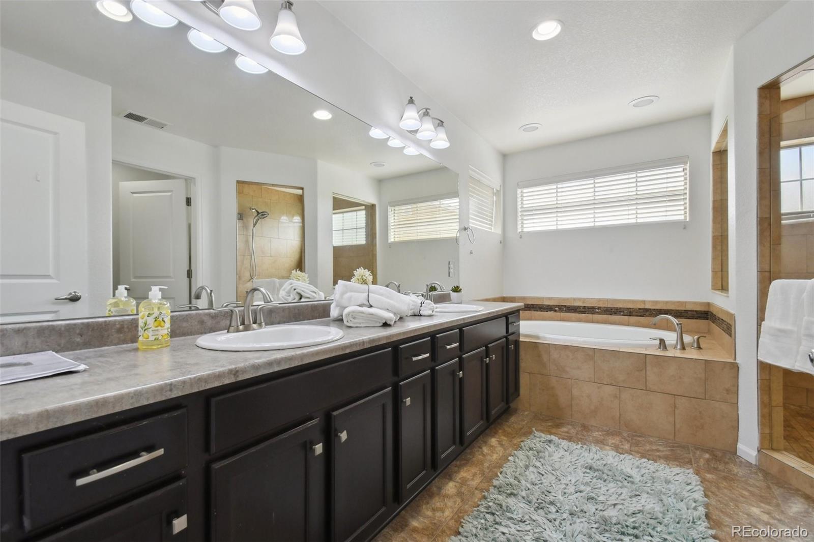 MLS Image #12 for 20888 e 51st place,denver, Colorado