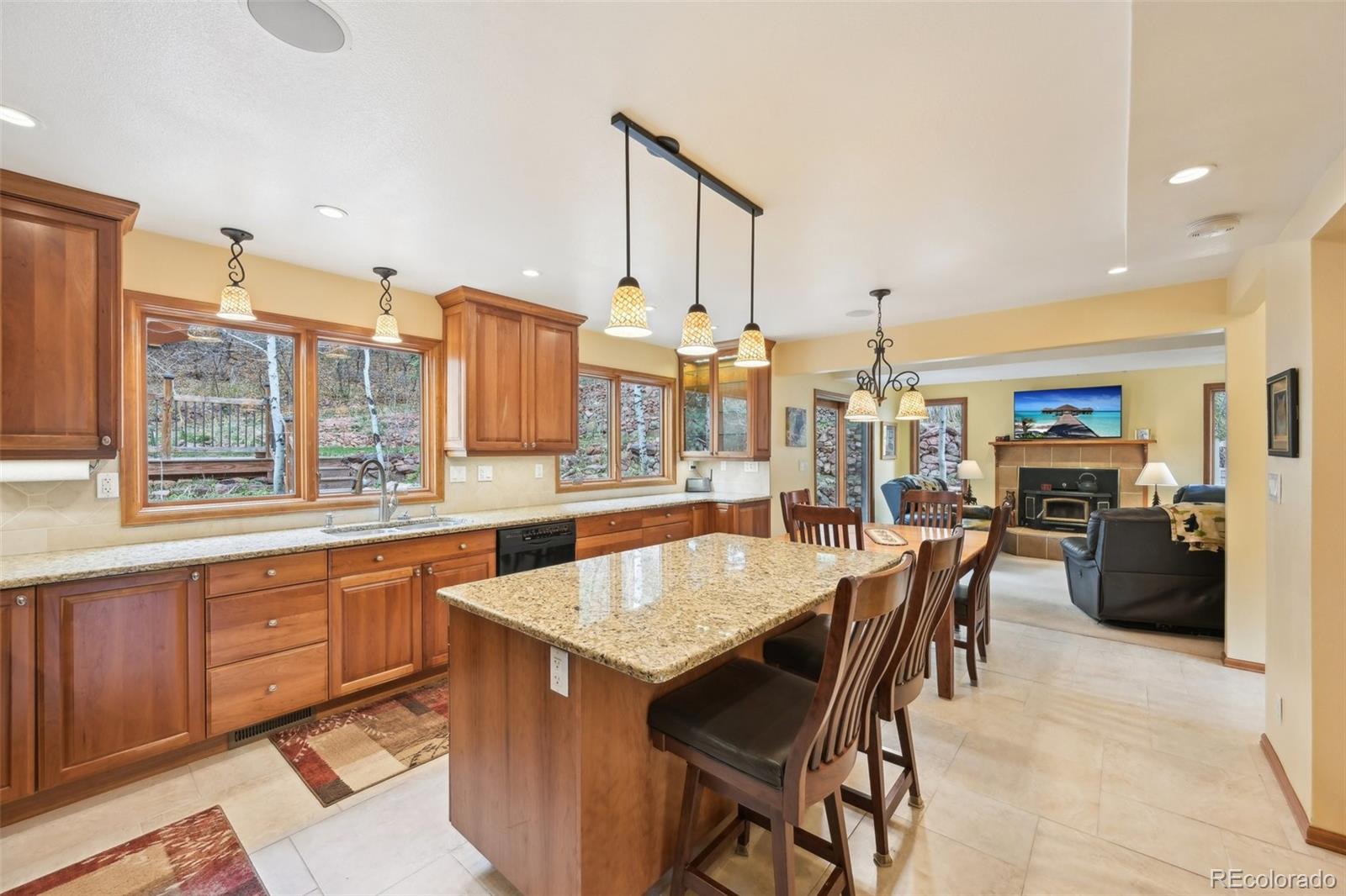 MLS Image #11 for 13314  spruce creek circle,larkspur, Colorado