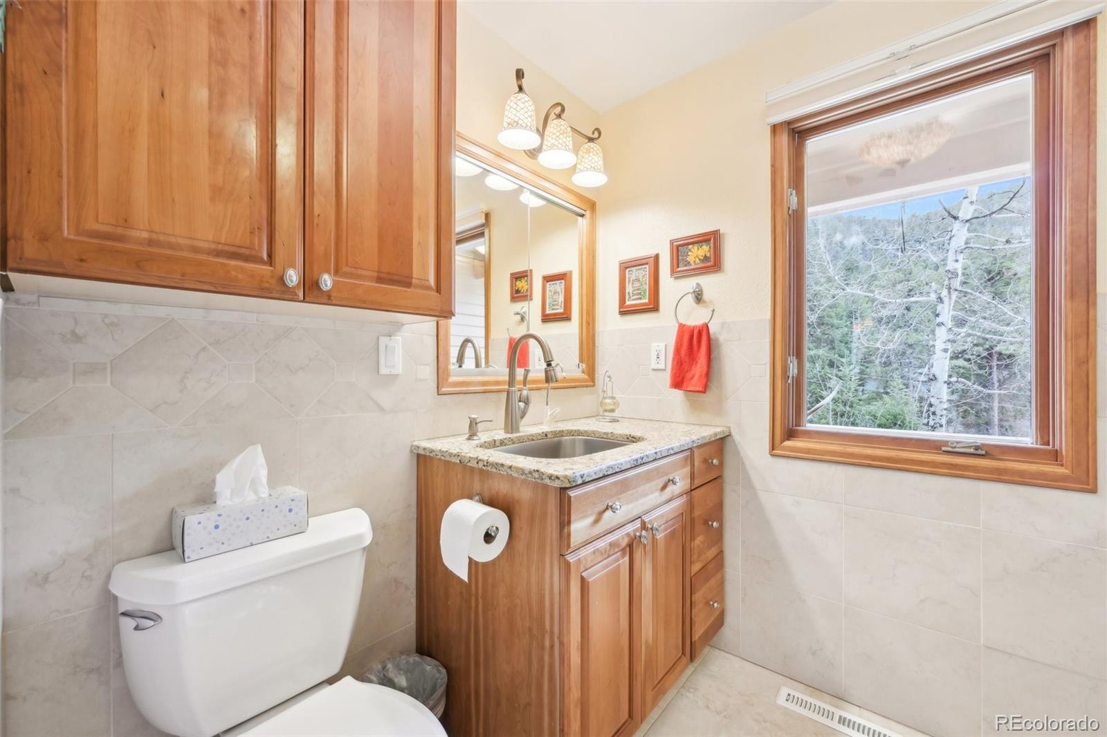 MLS Image #18 for 13314  spruce creek circle,larkspur, Colorado