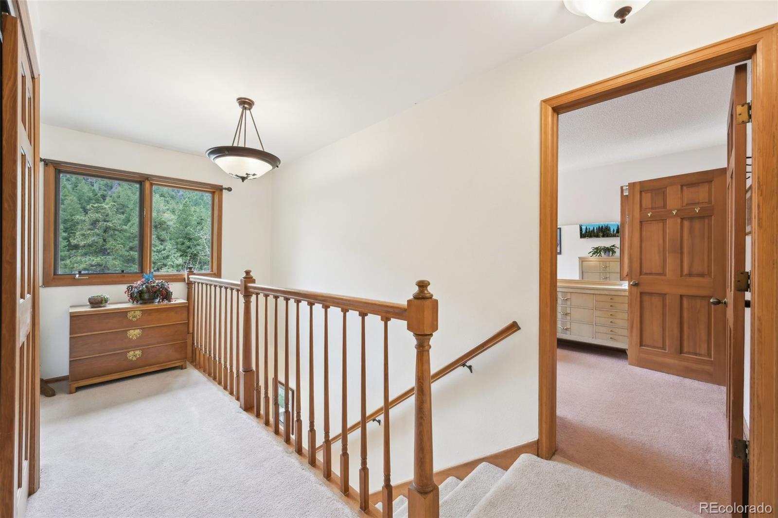 MLS Image #20 for 13314  spruce creek circle,larkspur, Colorado