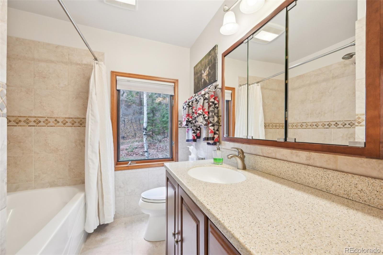 MLS Image #25 for 13314  spruce creek circle,larkspur, Colorado