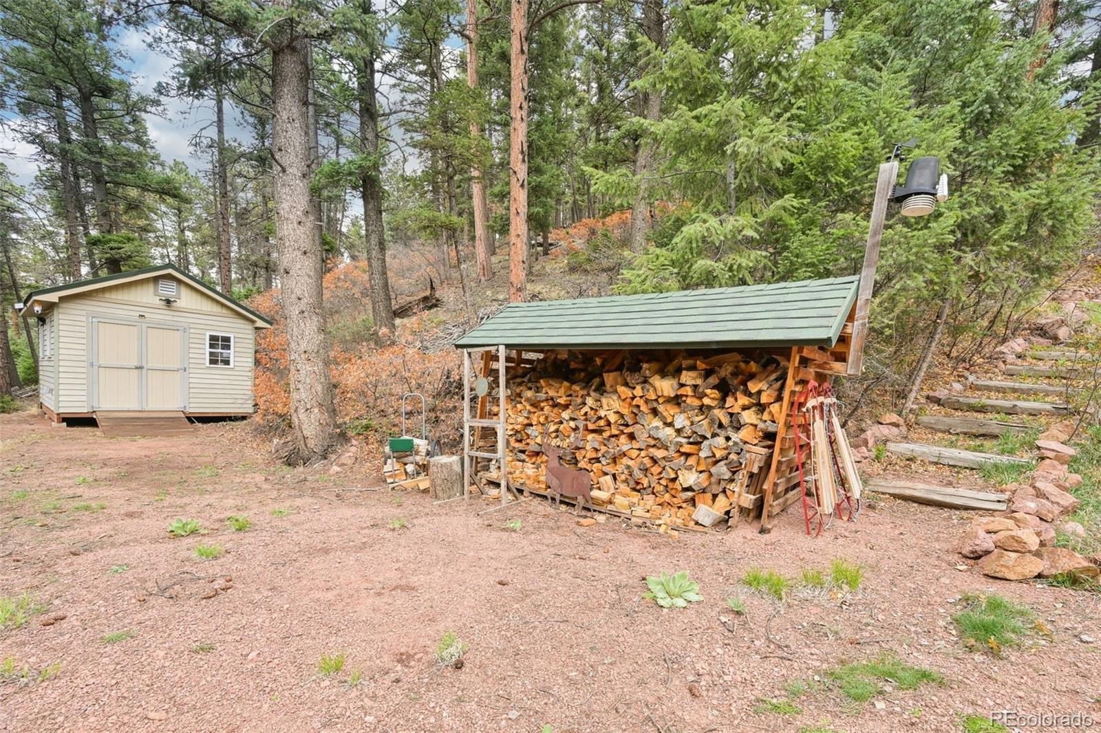 MLS Image #40 for 13314  spruce creek circle,larkspur, Colorado