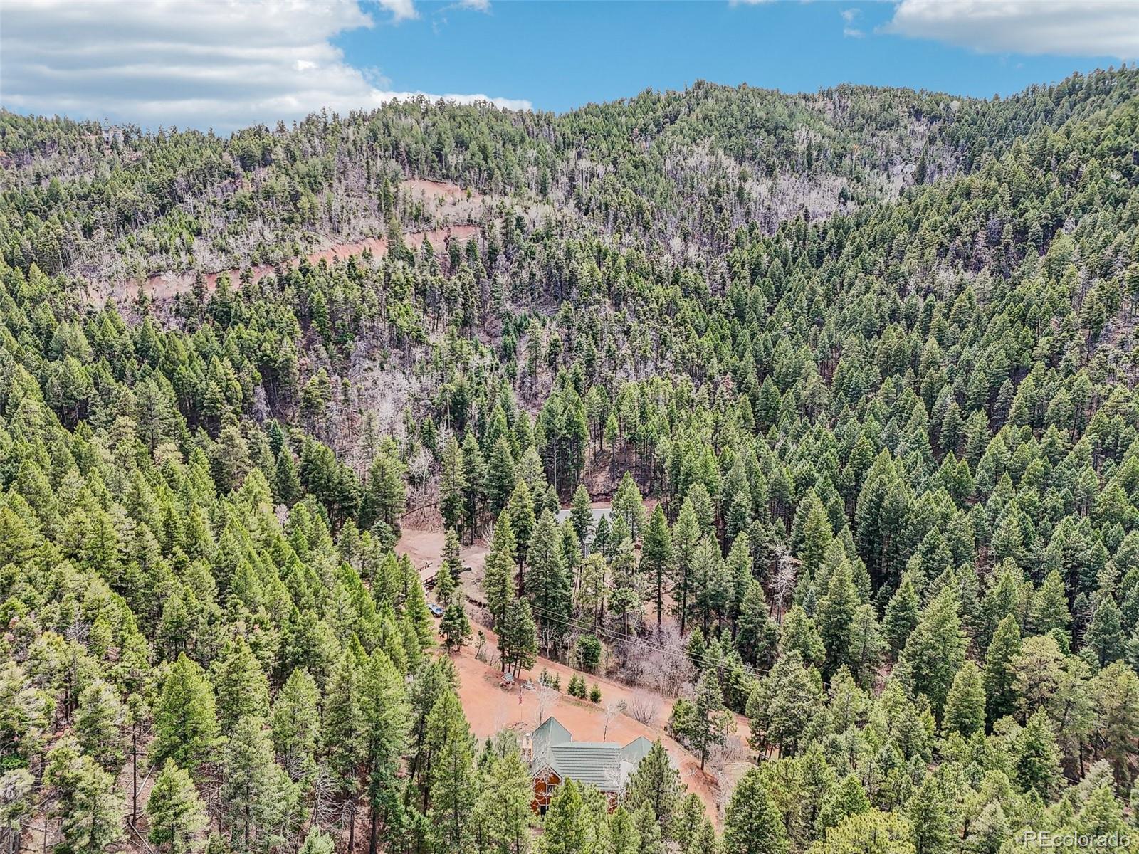 MLS Image #45 for 13314  spruce creek circle,larkspur, Colorado