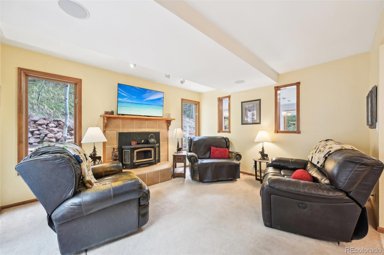 MLS Image #5 for 13314  spruce creek circle,larkspur, Colorado