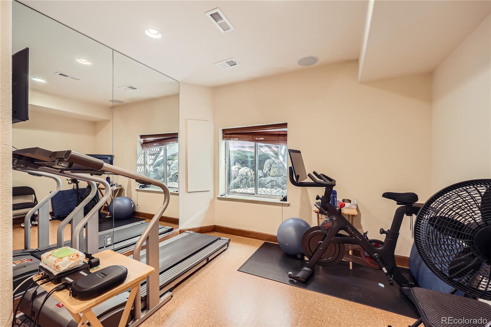 MLS Image #6 for 2369  bayberry lane,castle rock, Colorado