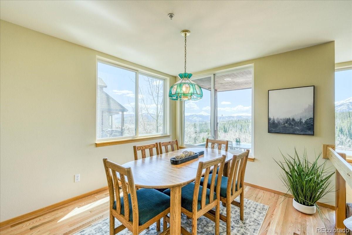 MLS Image #10 for 81  cydney lane,silverthorne, Colorado