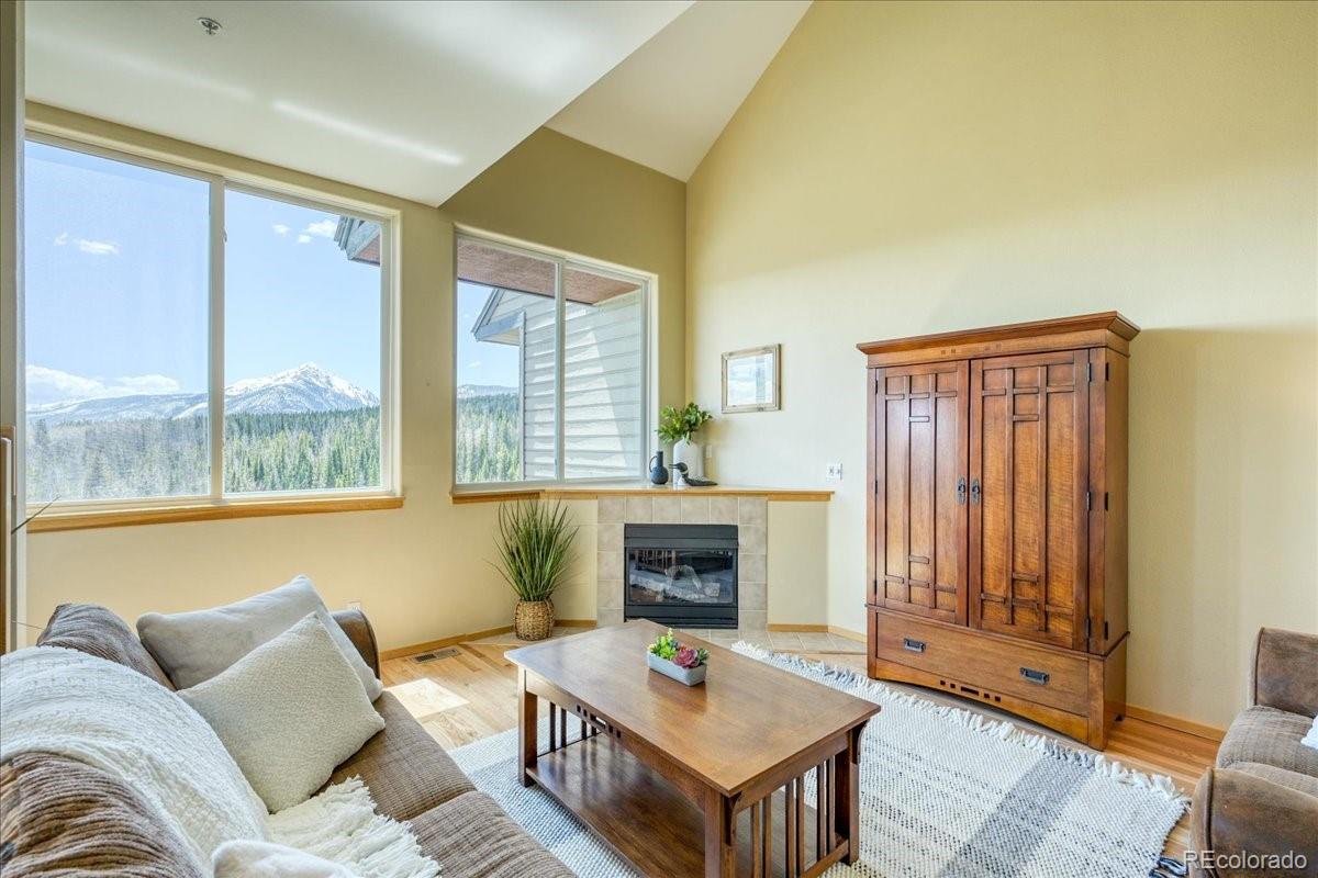 MLS Image #2 for 81  cydney lane,silverthorne, Colorado