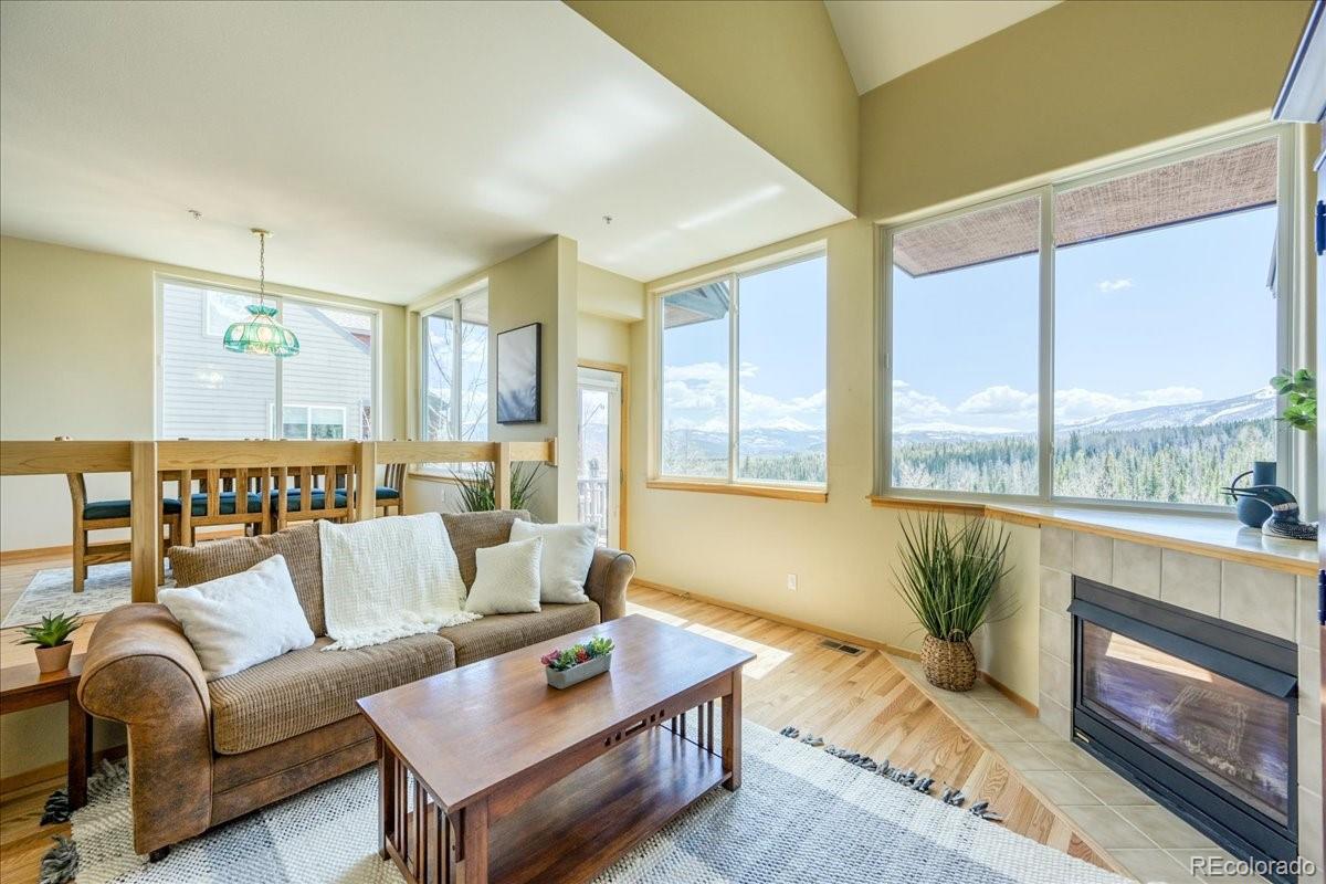 MLS Image #3 for 81  cydney lane,silverthorne, Colorado