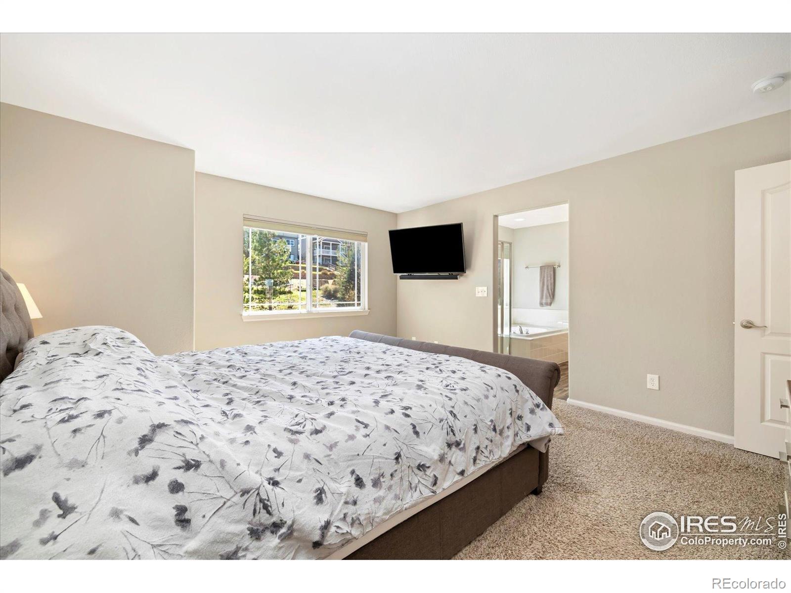MLS Image #18 for 2208  bellavista street,castle rock, Colorado