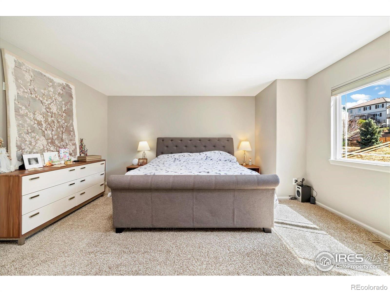 MLS Image #20 for 2208  bellavista street,castle rock, Colorado