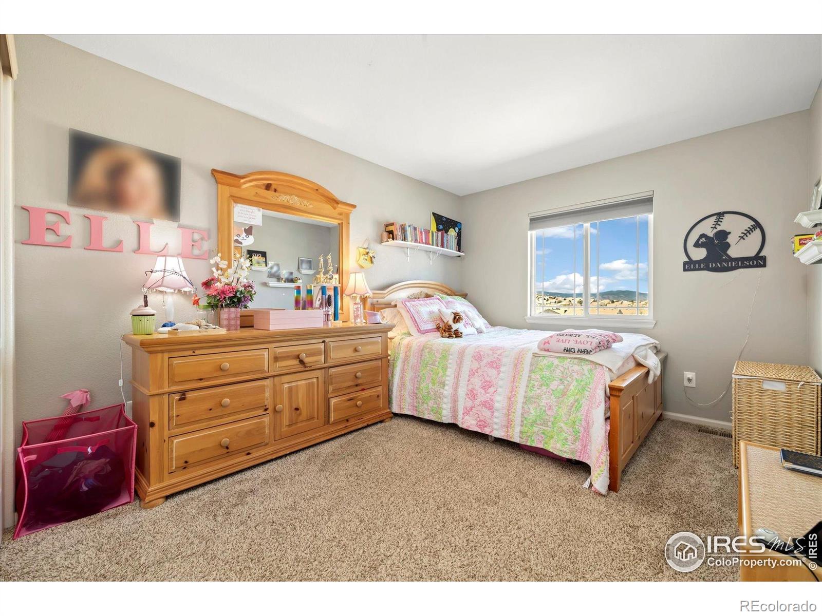 MLS Image #22 for 2208  bellavista street,castle rock, Colorado