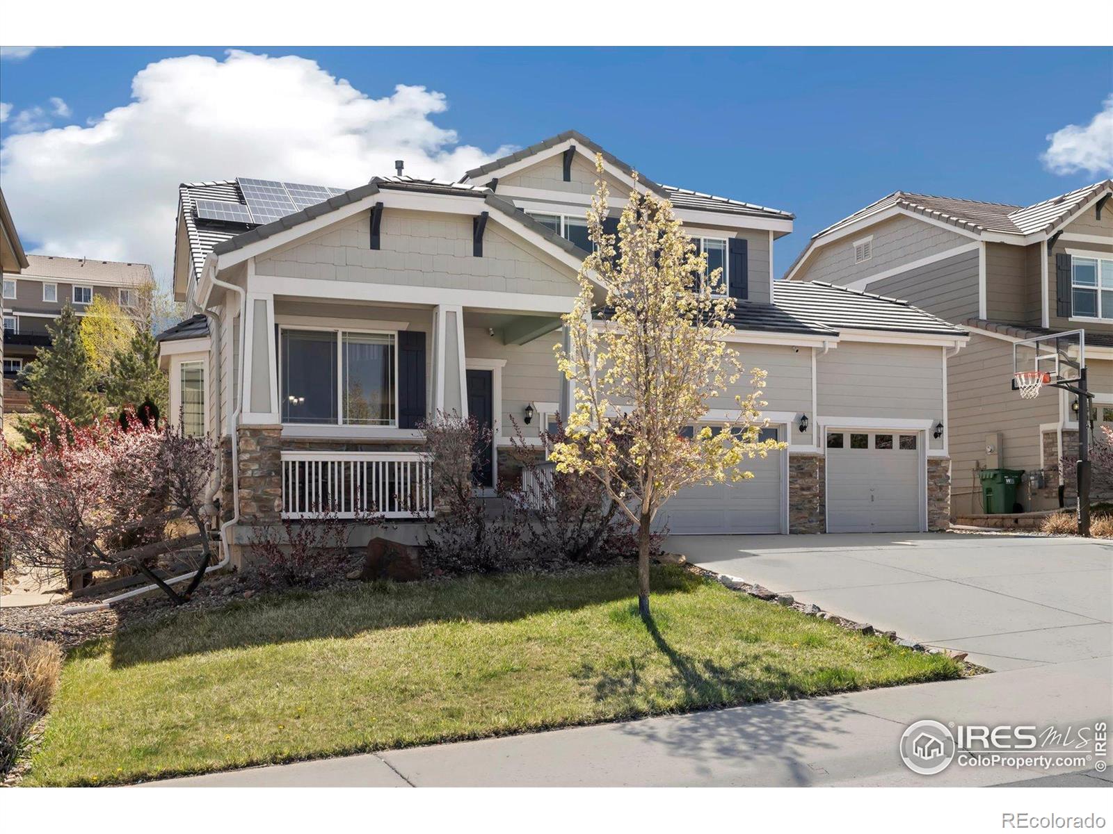 MLS Image #3 for 2208  bellavista street,castle rock, Colorado