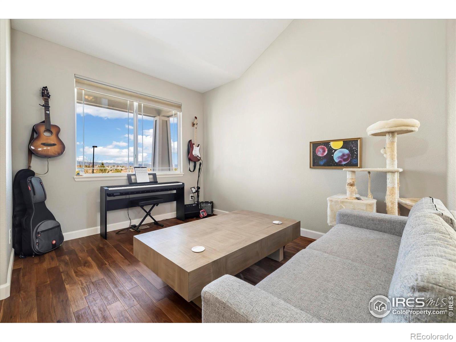 MLS Image #5 for 2208  bellavista street,castle rock, Colorado
