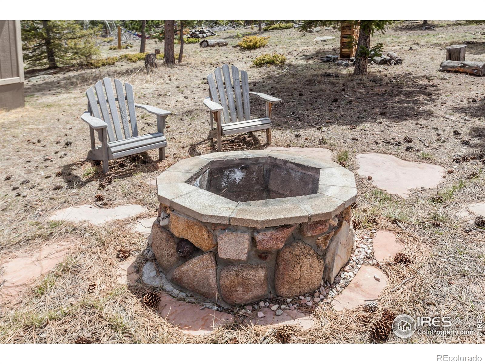 MLS Image #39 for 1701  tesuque trail,red feather lakes, Colorado
