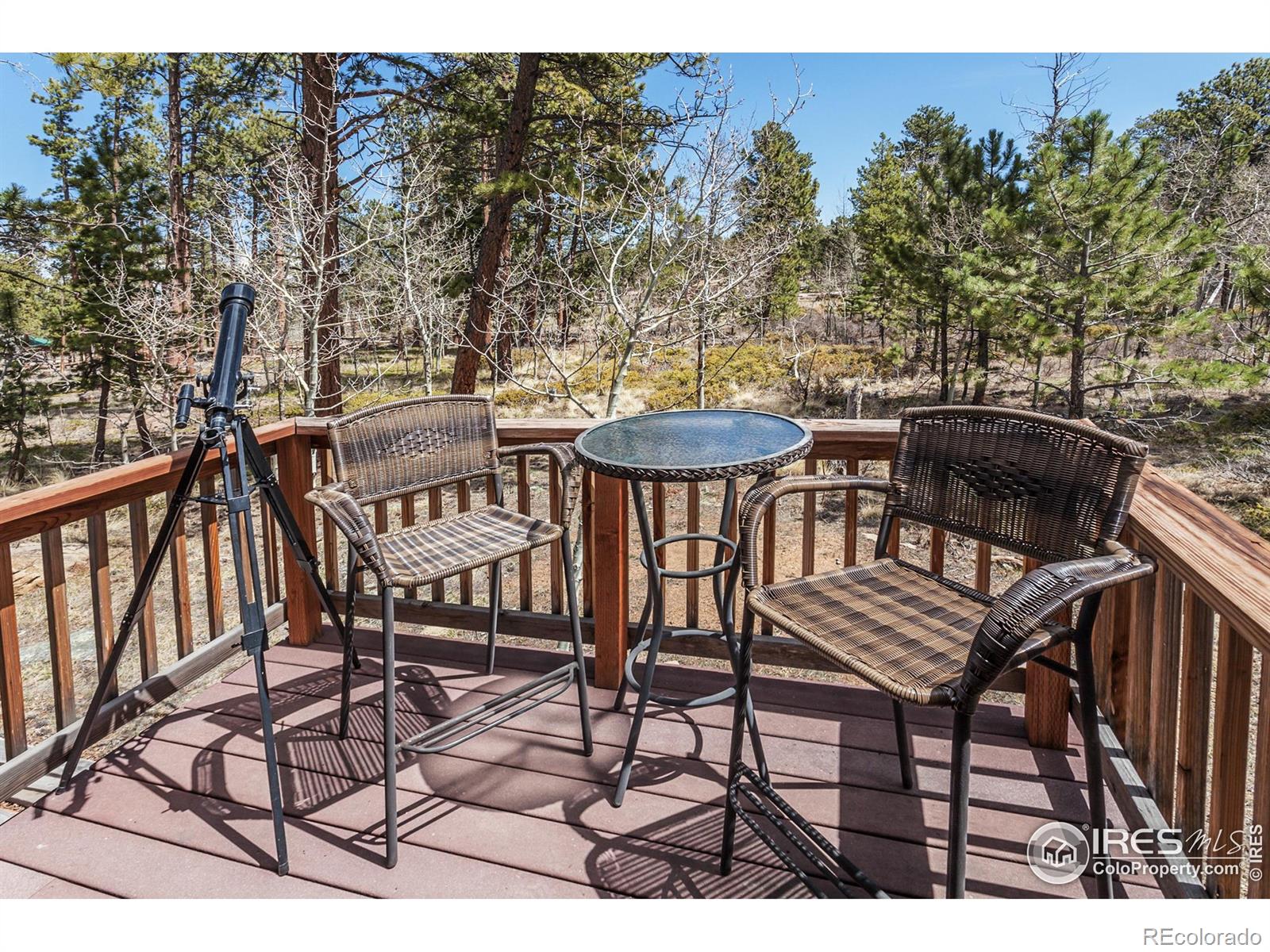 MLS Image #8 for 1701  tesuque trail,red feather lakes, Colorado