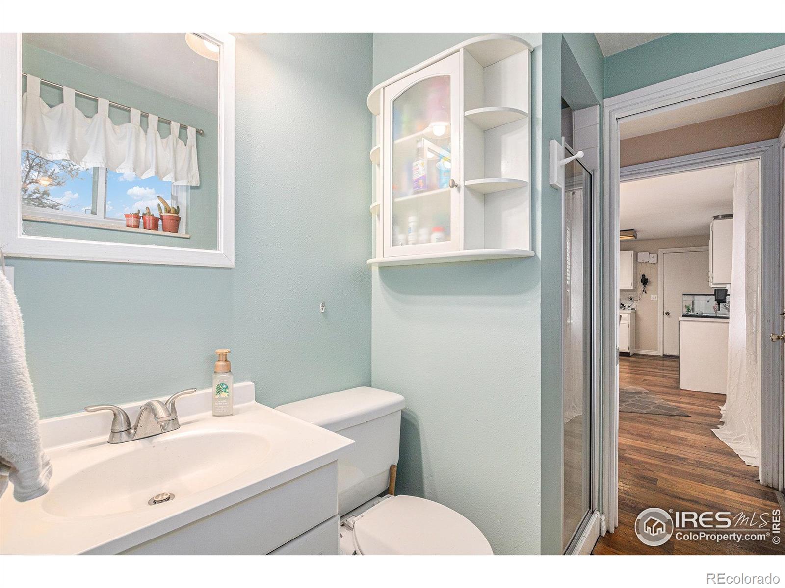 MLS Image #13 for 339  indiana avenue,berthoud, Colorado