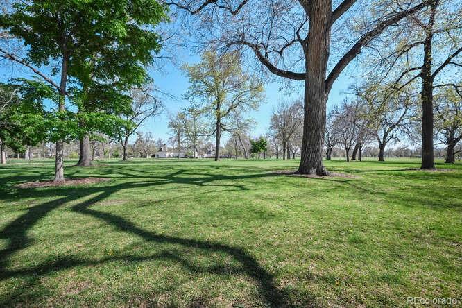 MLS Image #39 for 1027 s university boulevard,denver, Colorado
