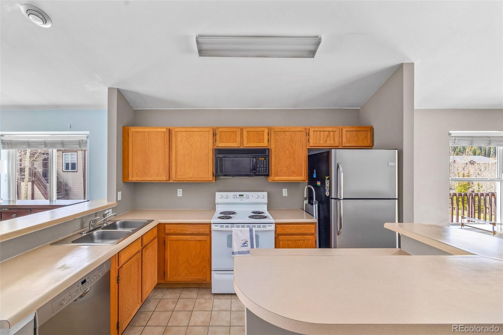 MLS Image #10 for 10  river park drive,breckenridge, Colorado