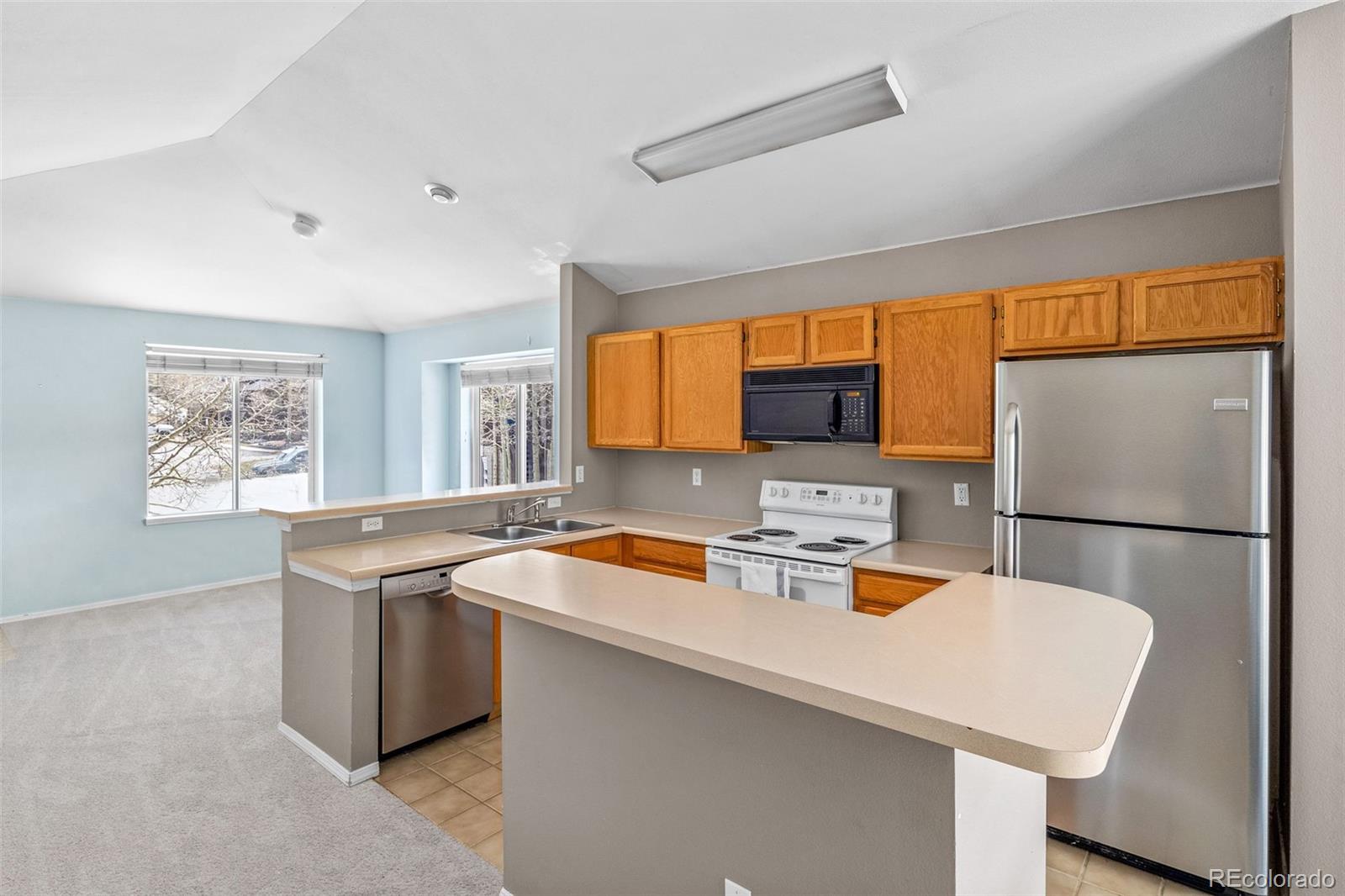 MLS Image #12 for 10  river park drive,breckenridge, Colorado