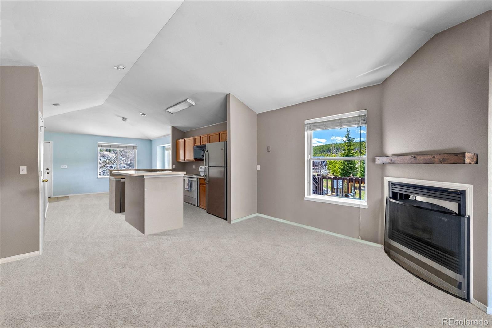 MLS Image #13 for 10  river park drive,breckenridge, Colorado