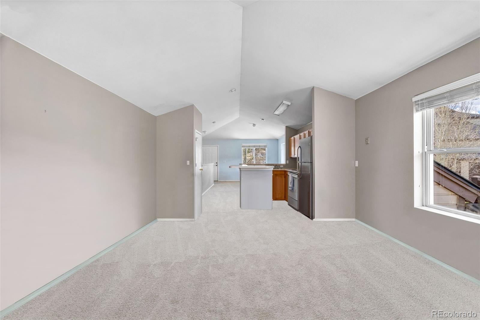 MLS Image #16 for 10  river park drive,breckenridge, Colorado