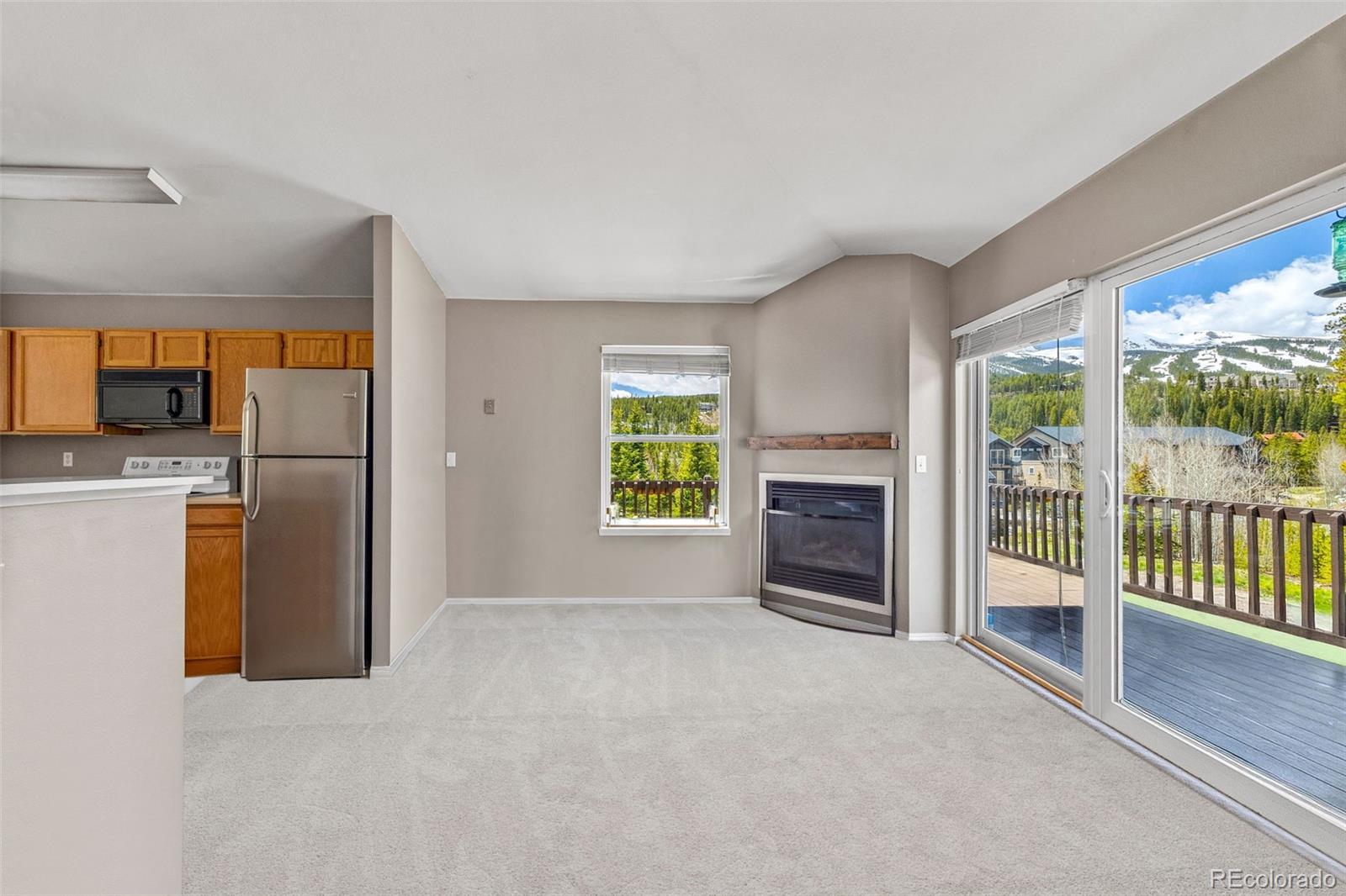 MLS Image #4 for 10  river park drive,breckenridge, Colorado