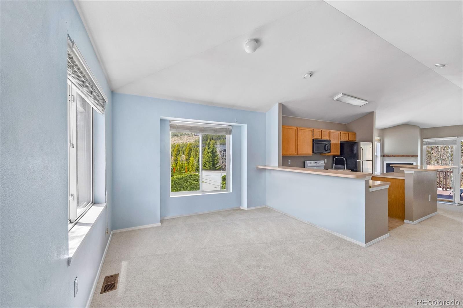 MLS Image #5 for 10  river park drive,breckenridge, Colorado