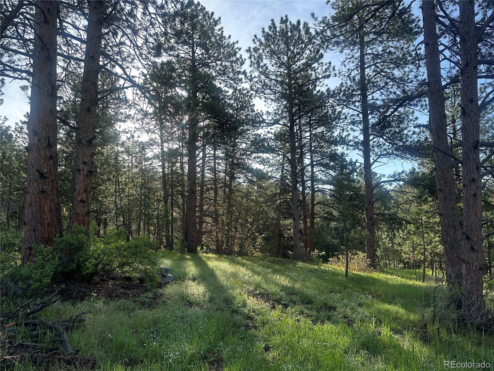 MLS Image #3 for 4574  picutis road,indian hills, Colorado