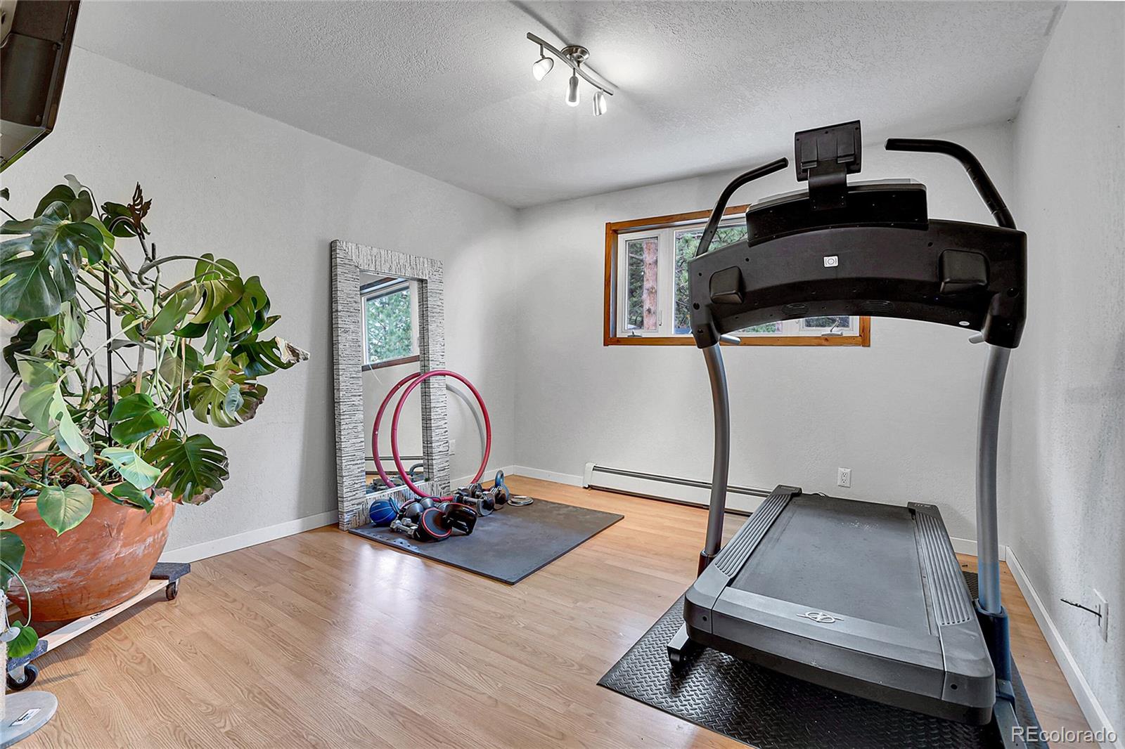 MLS Image #33 for 4574  picutis road,indian hills, Colorado