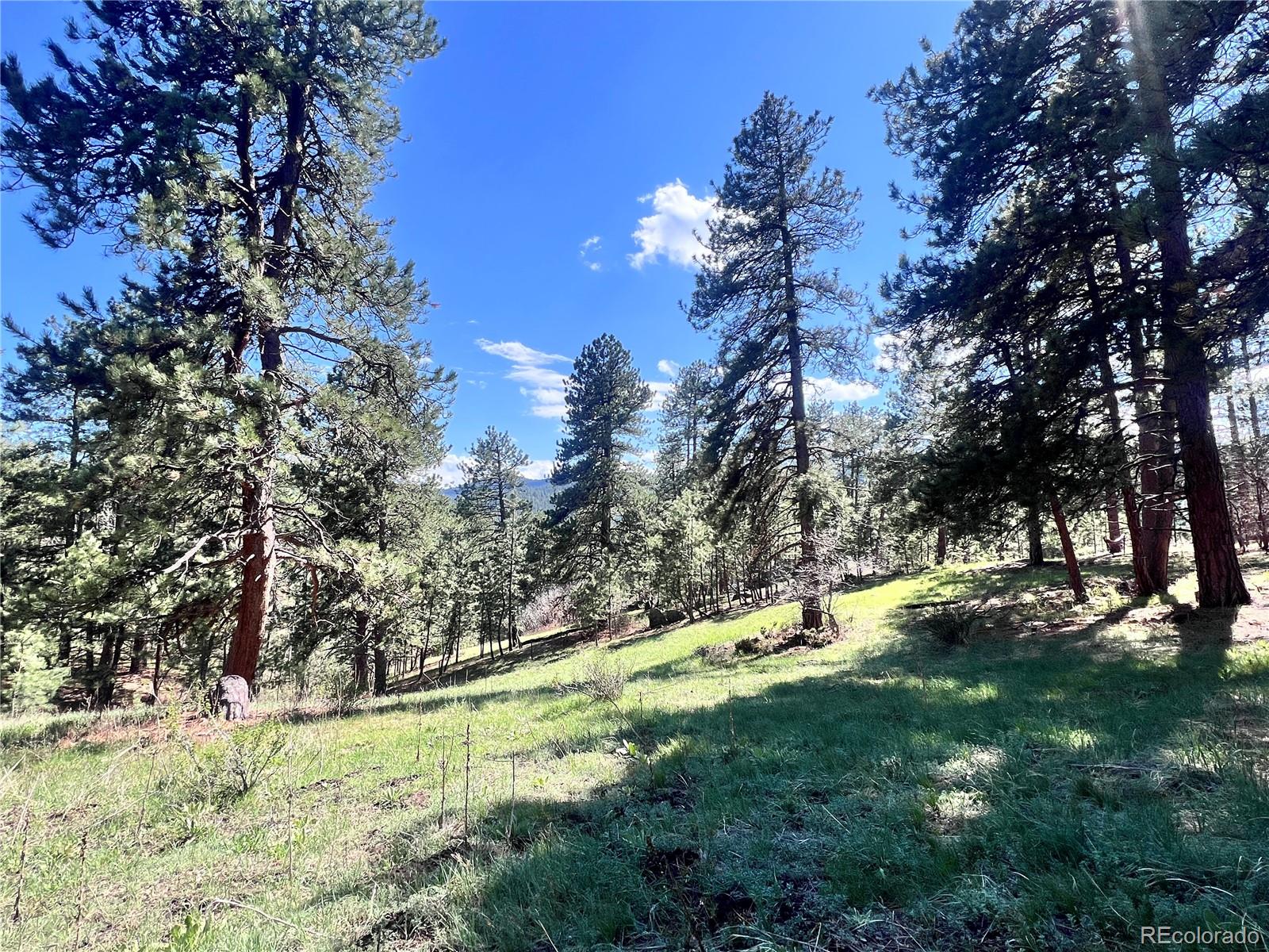 MLS Image #43 for 4574  picutis road,indian hills, Colorado