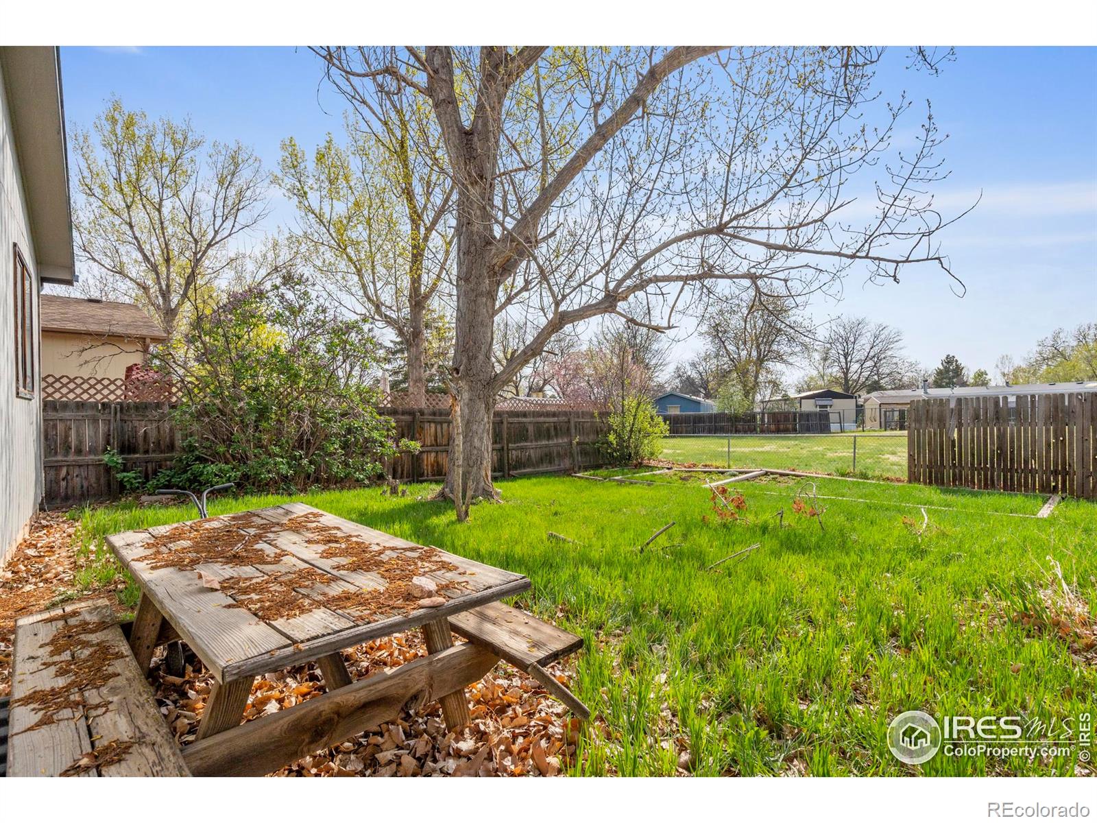 MLS Image #16 for 3762  dalton drive,fort collins, Colorado