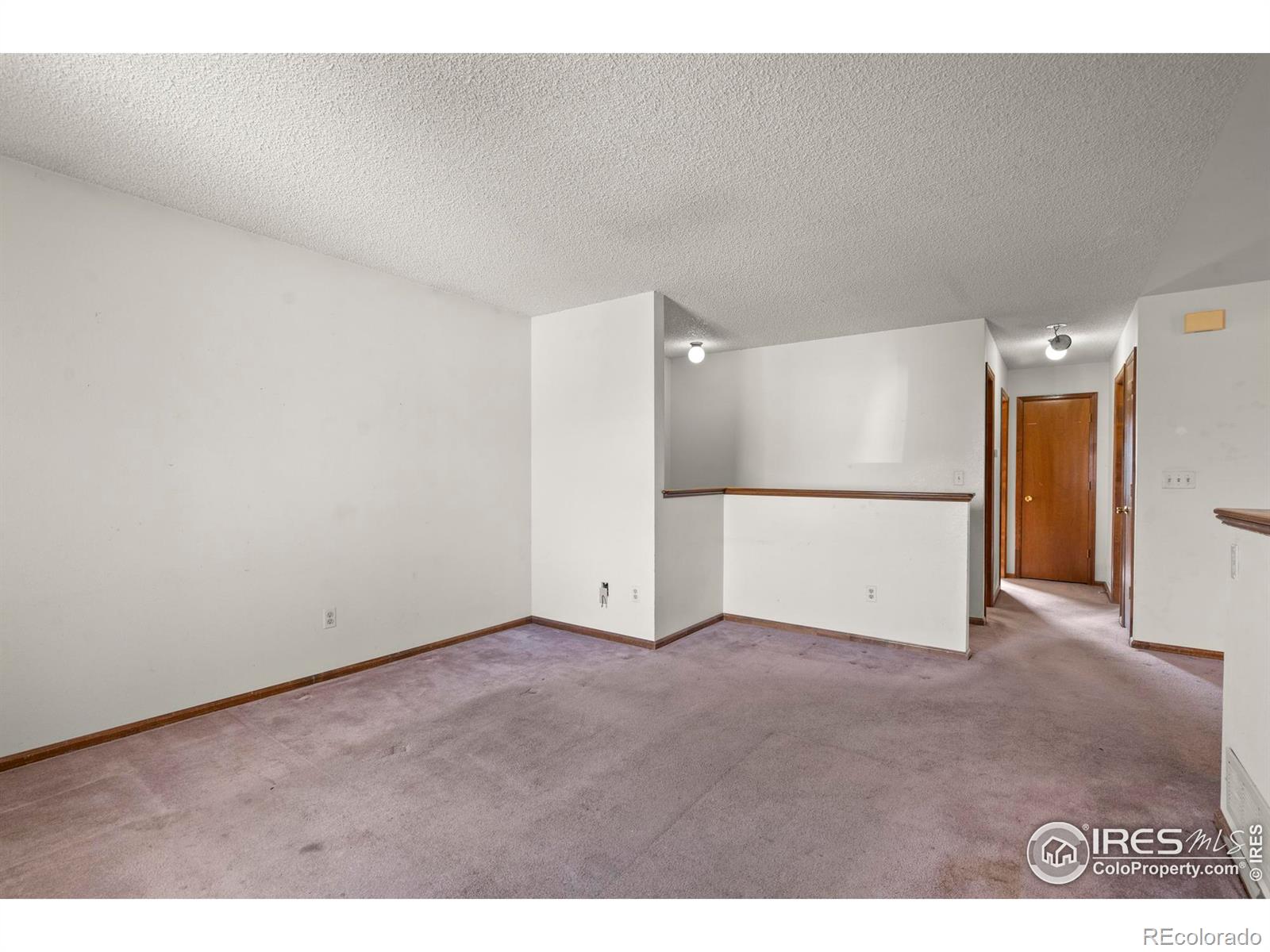MLS Image #5 for 3762  dalton drive,fort collins, Colorado