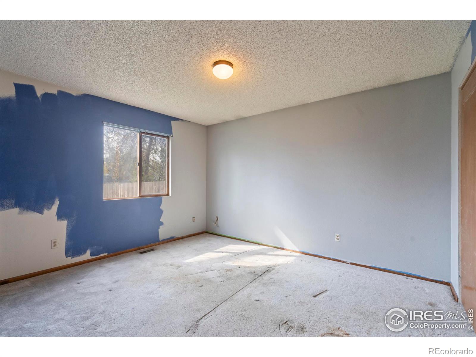 MLS Image #9 for 3762  dalton drive,fort collins, Colorado
