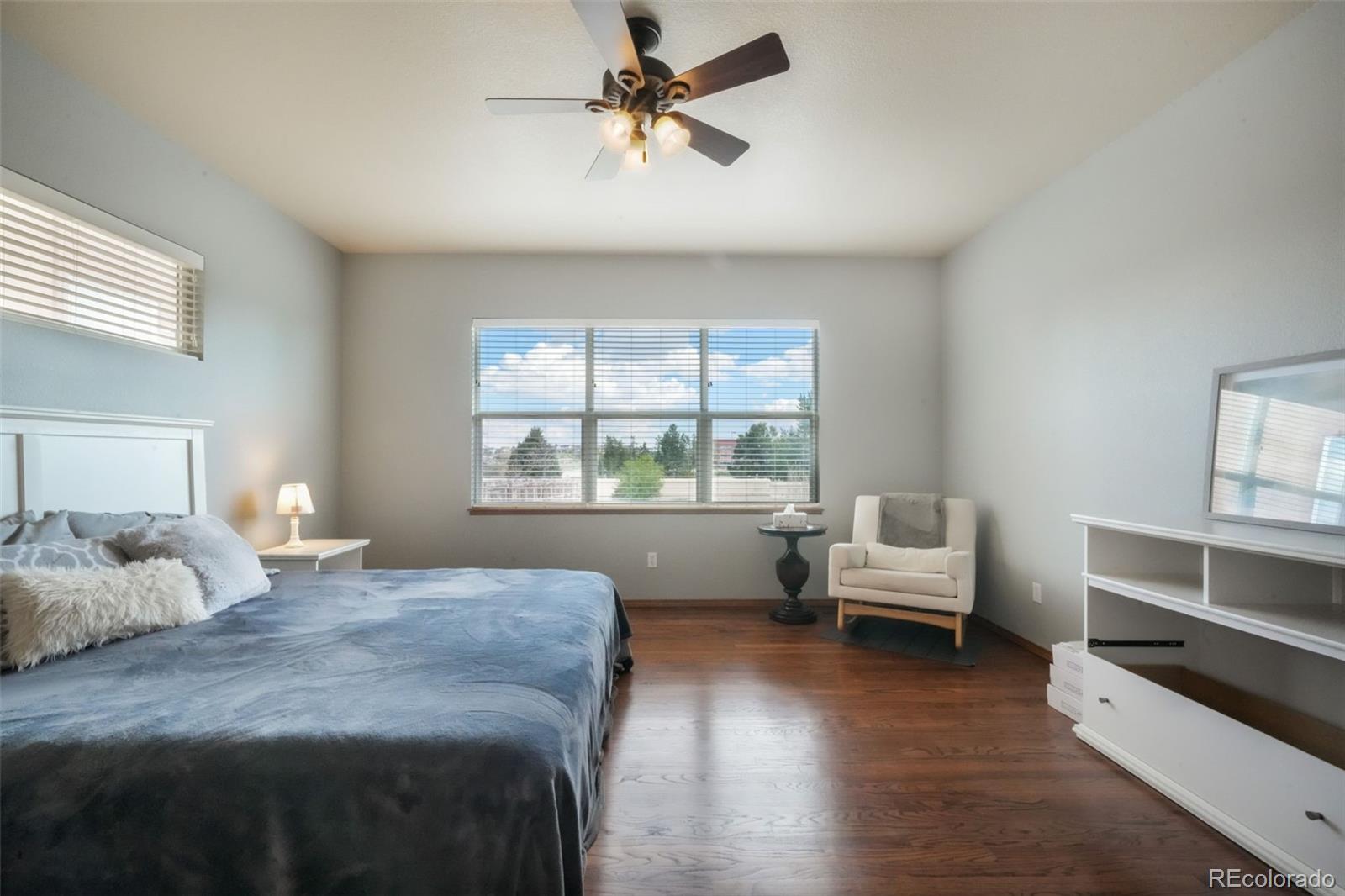 MLS Image #16 for 4197  purple plum way,colorado springs, Colorado