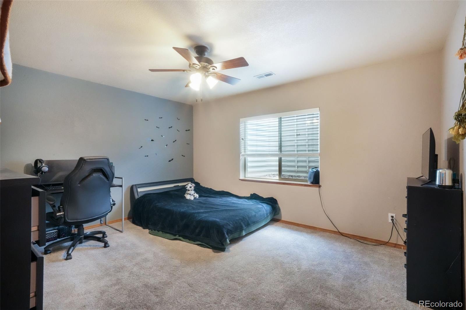 MLS Image #34 for 4197  purple plum way,colorado springs, Colorado