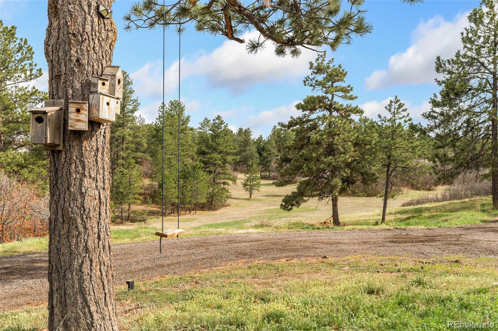 MLS Image #33 for 1730  ward circle,franktown, Colorado