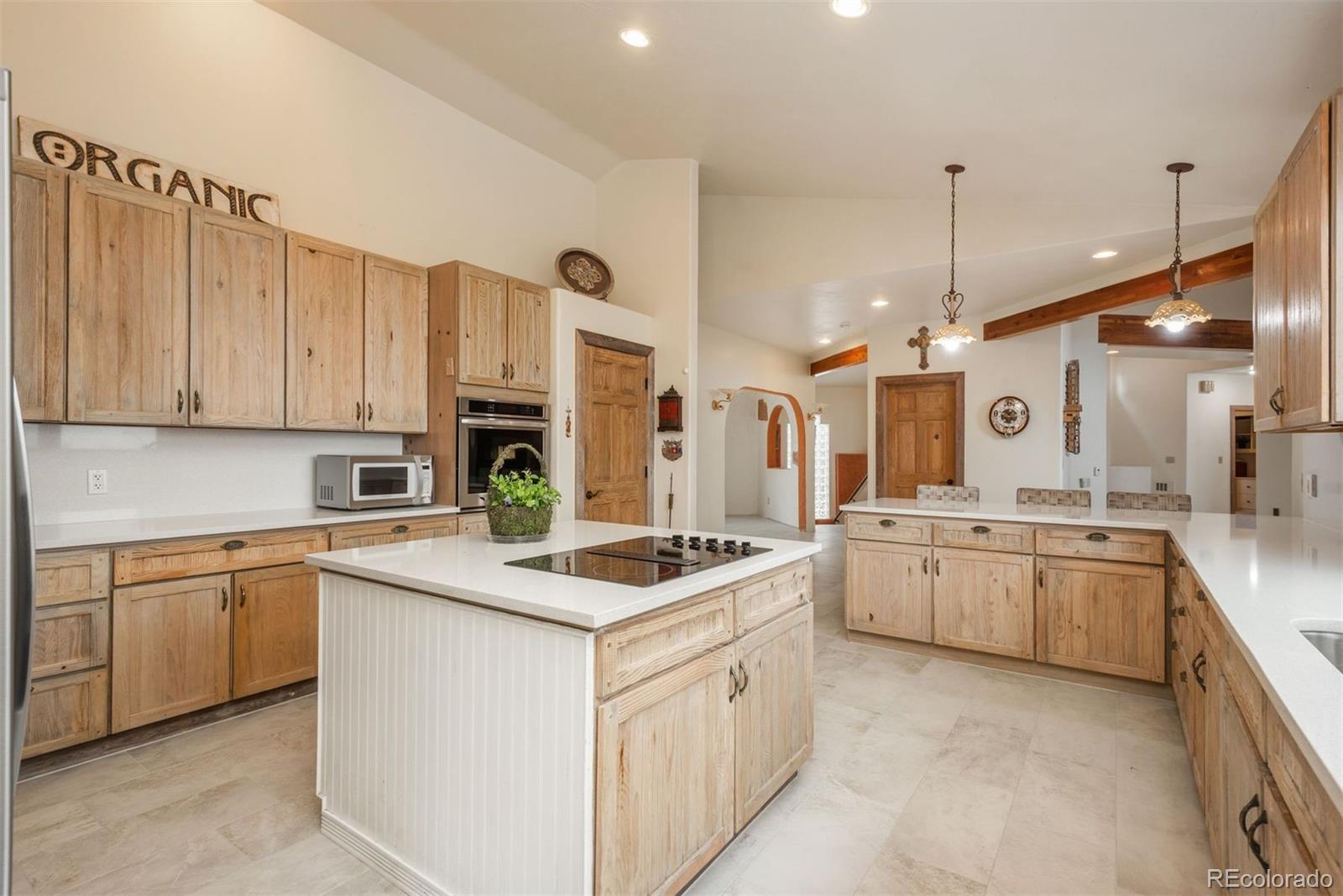 MLS Image #13 for 12291 s critchell lane,littleton, Colorado