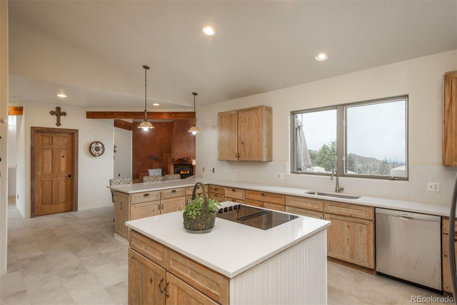 MLS Image #17 for 12291 s critchell lane,littleton, Colorado