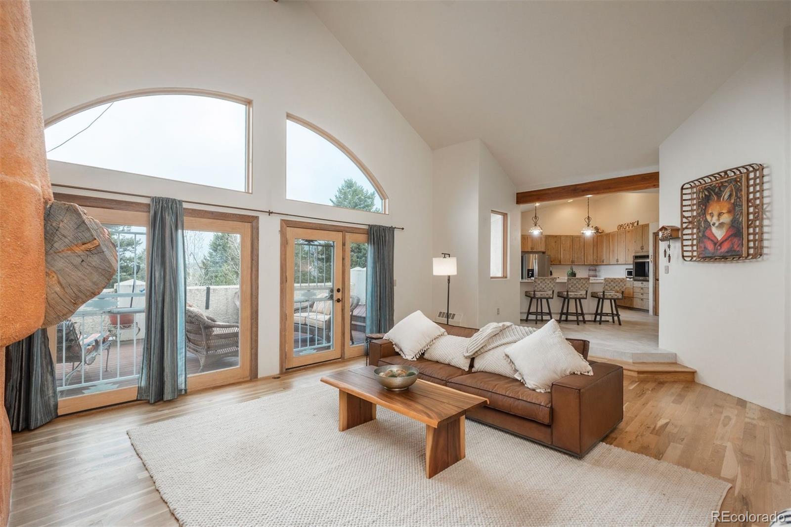 MLS Image #9 for 12291 s critchell lane,littleton, Colorado
