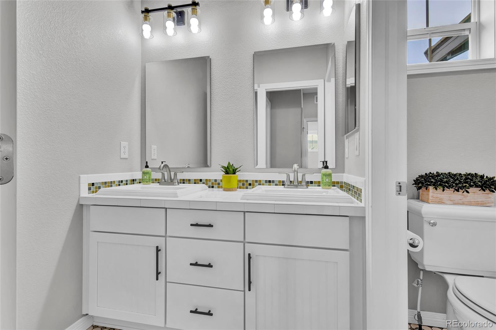MLS Image #23 for 10492  willowwisp way,highlands ranch, Colorado