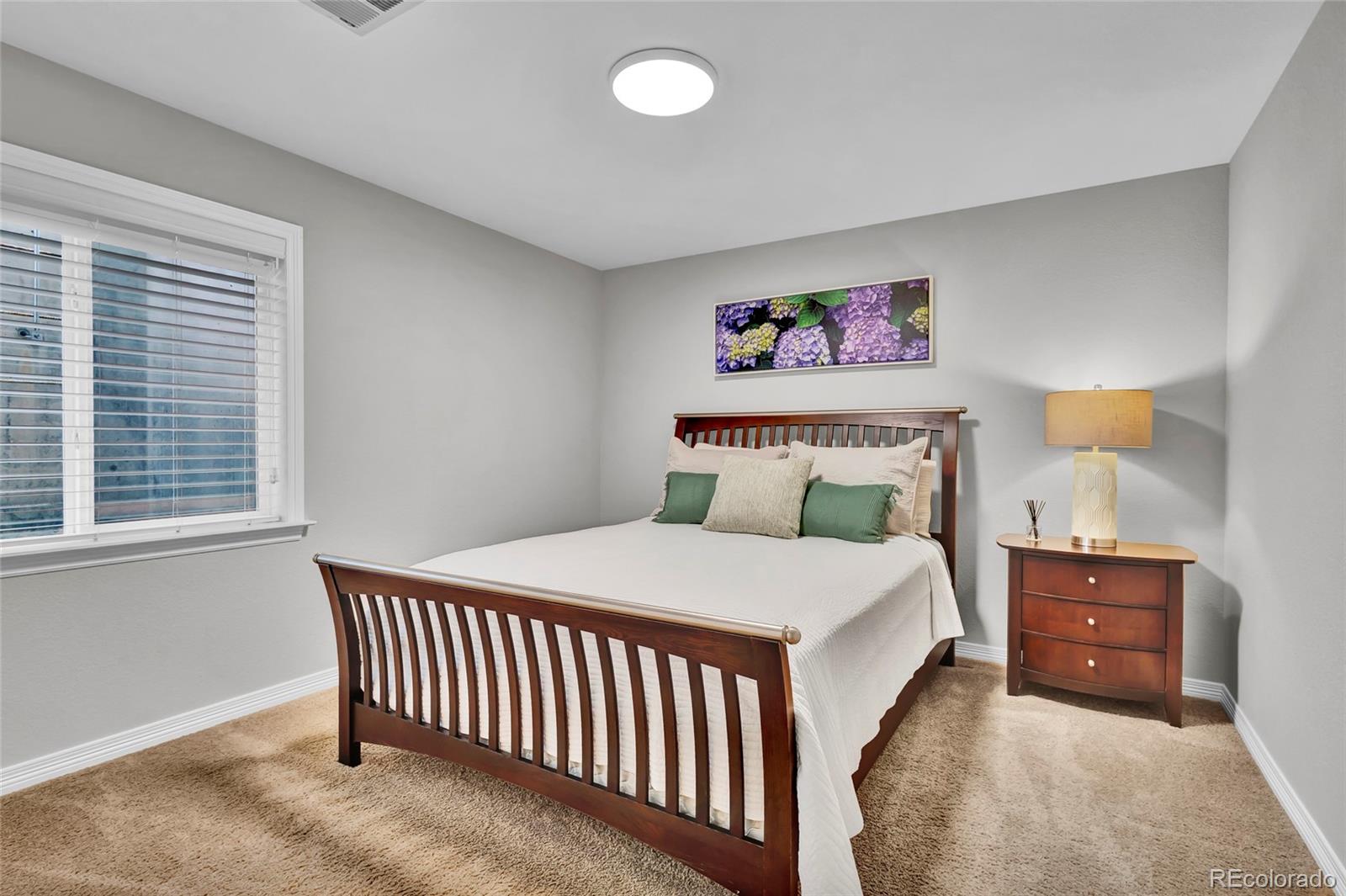 MLS Image #24 for 10492  willowwisp way,highlands ranch, Colorado