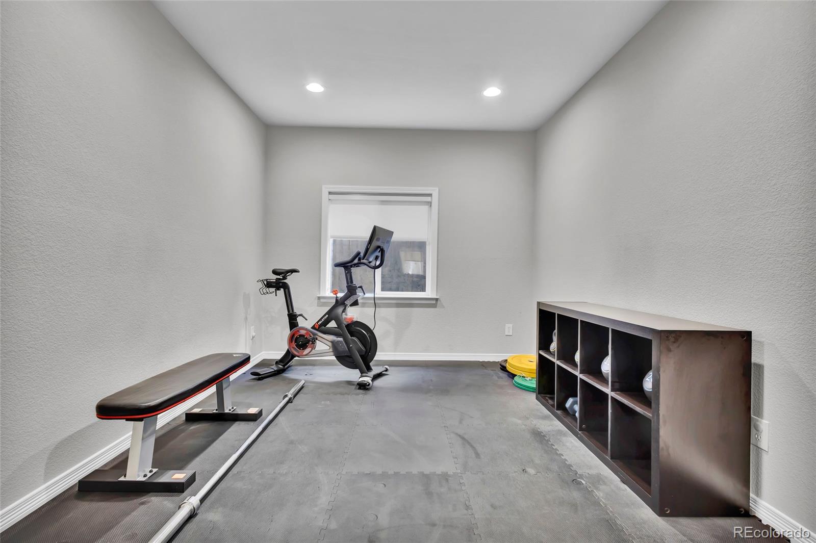 MLS Image #27 for 10492  willowwisp way,highlands ranch, Colorado