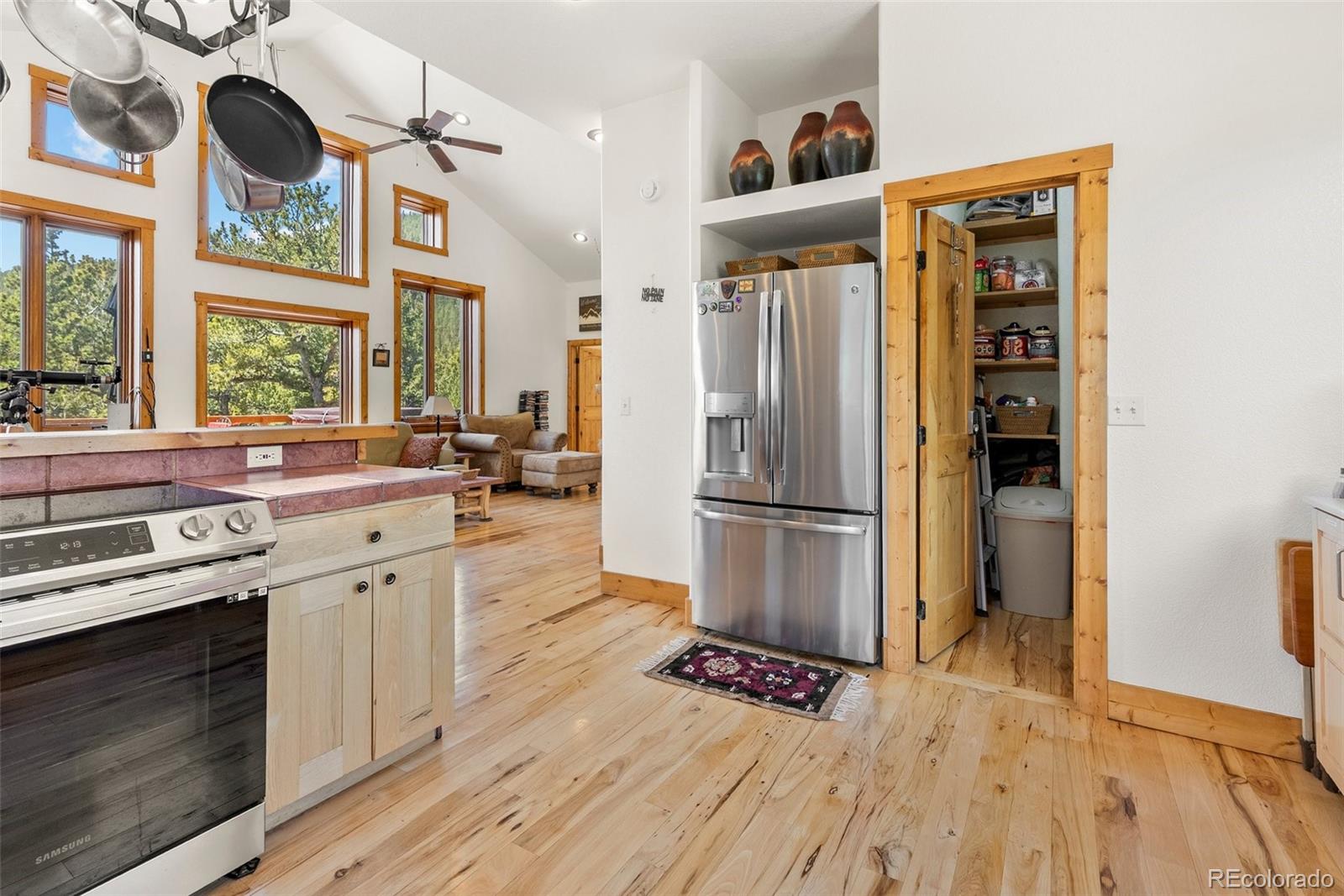 MLS Image #10 for 72  overlook court,idaho springs, Colorado