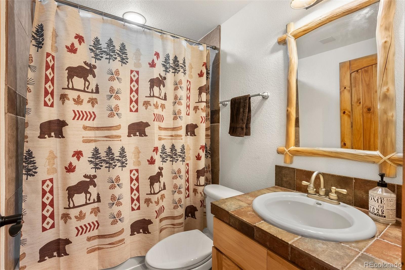 MLS Image #22 for 72  overlook court,idaho springs, Colorado